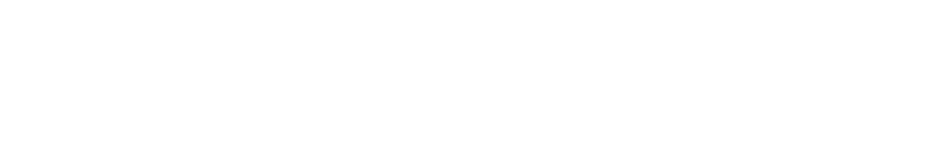 The New Standard